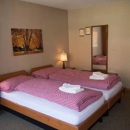 Ferienwohnung Crystal 2 * Adelboden