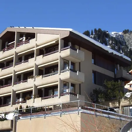 Apartment Ferienwohnung Crystal 2 Adelboden